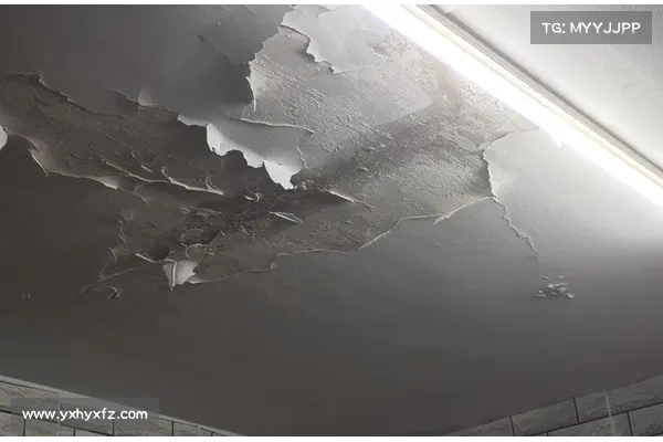 屋漏偏逢连夜雨困境叠加难题频现如何化解生活中的接连困扰 屋漏偏逢连夜雨困境叠加难题频现如何化解生活中的接连困扰